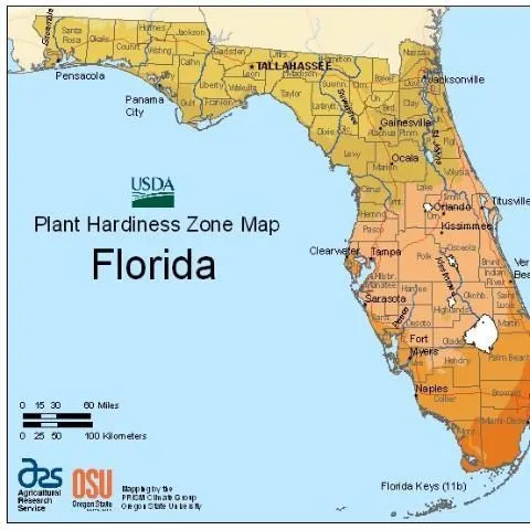 thumbnail for publication: How Are Our Future Agriculture and Natural Resources Projected under Varying Climate?